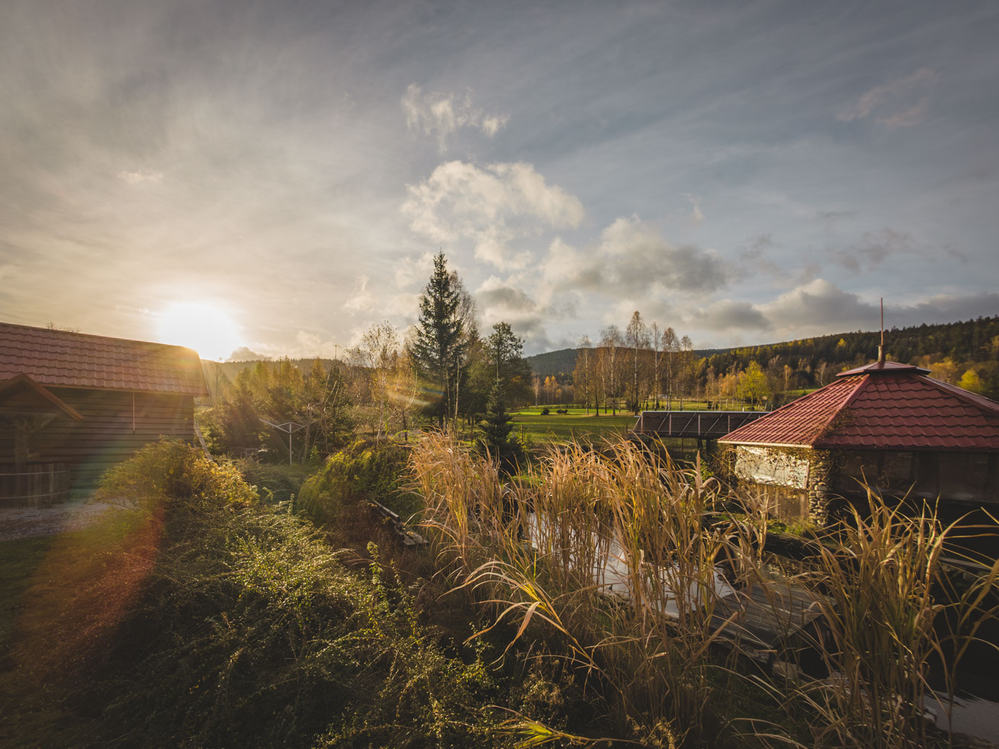 Złoty Sen - Złota jesień Złoty Sen - Złota jesień