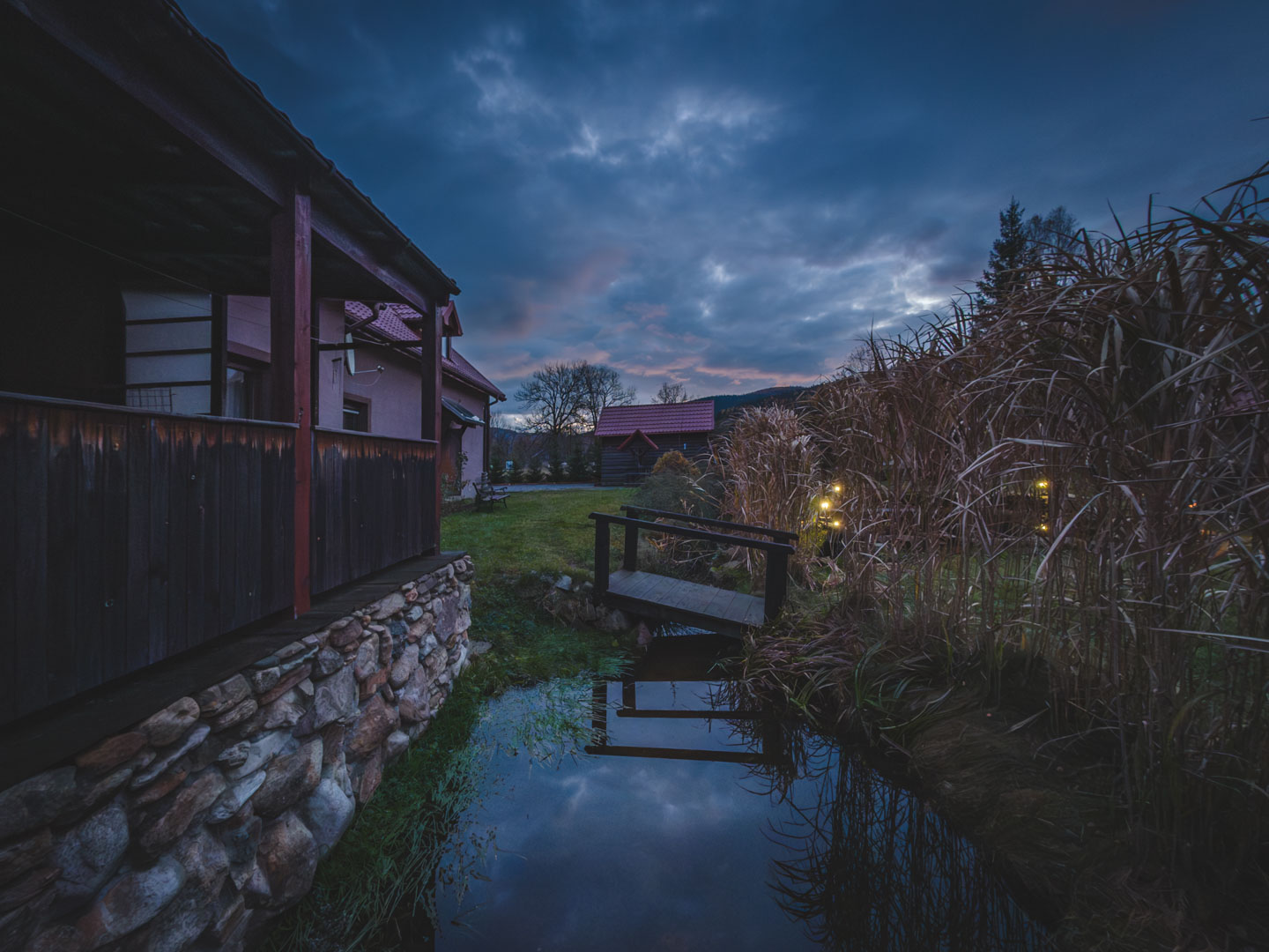 Złoty Sen - Ogród nocą Złoty Sen - Ogród nocą